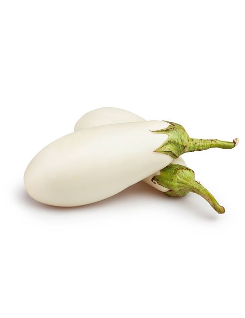 Aubergine Blanche