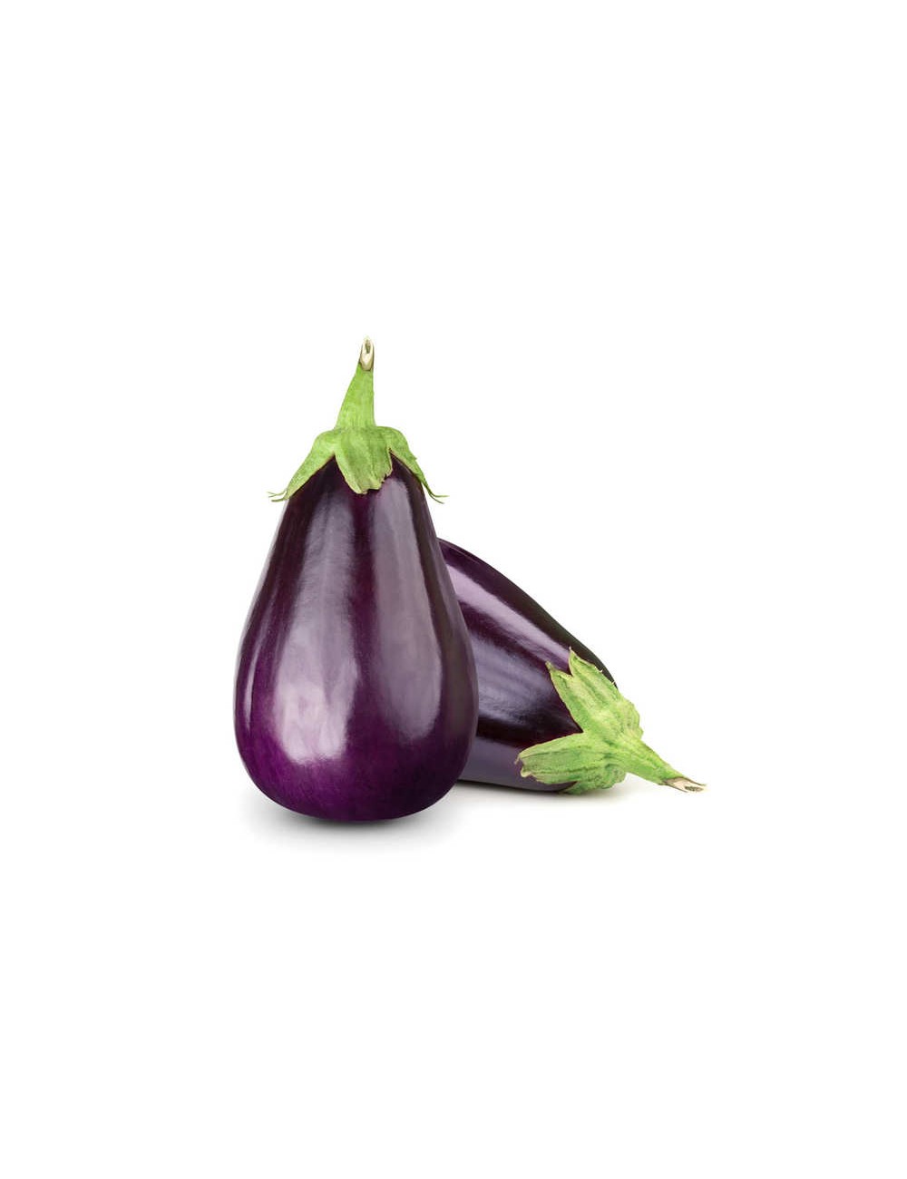 Aubergine