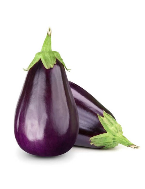 Aubergine