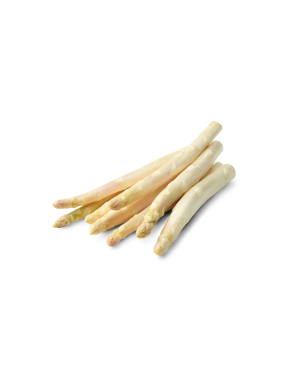 Asperge blanche