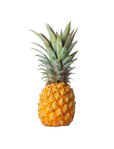 Ananas