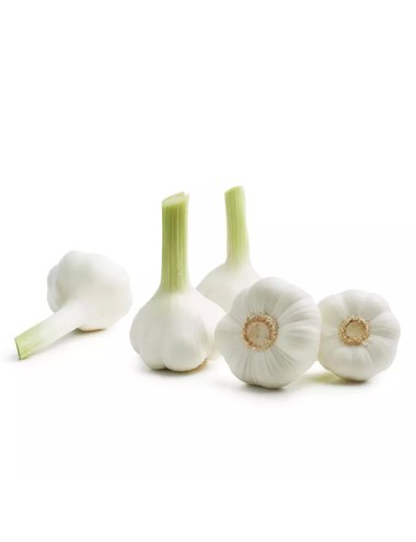Ail Frais