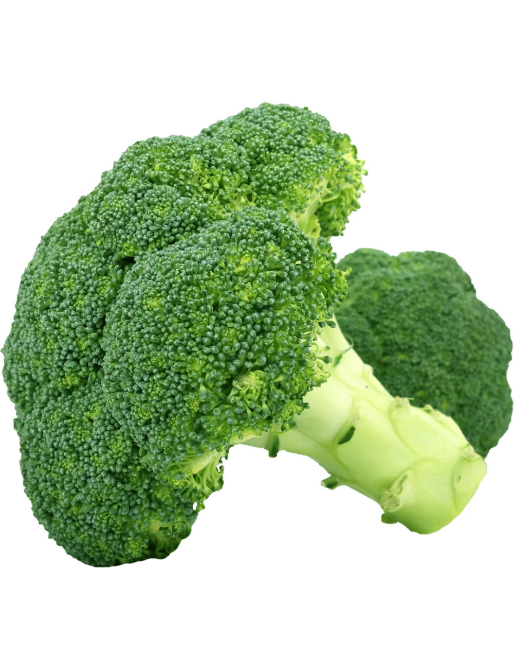 Brocoli