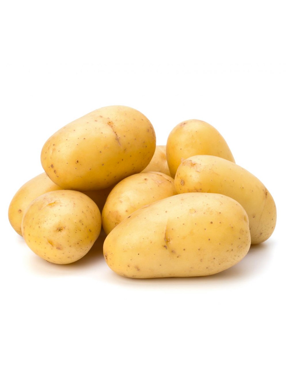 Pomme de terre Blanche